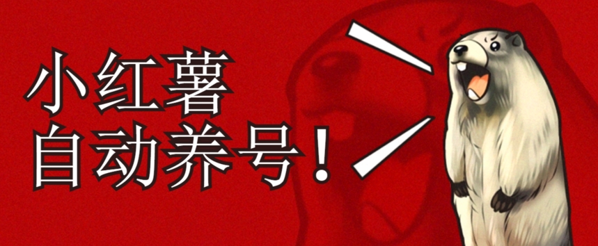 小红书养号秘籍，如何自动涨粉清晰系统标签打造高权重账号【揭秘】-私藏资源社
