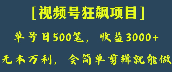 日收款500笔，纯利润3000+，视频号狂飙项目，会简单剪辑就能做【揭秘】-私藏资源社