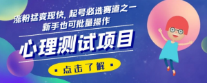 心理测试项目,涨粉猛变现快,起号必选赛道之一,新手也可批量操作【揭秘】-私藏资源社