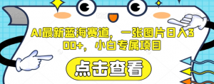 AI最新蓝海赛道,一张图片日入300+,小白专属项目【揭秘】-私藏资源社