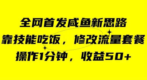 咸鱼冷门新玩法，靠“技能吃饭”，修改流量套餐，操作1分钟，收益50【揭秘】-私藏资源社