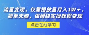 流量变现,仅靠播放量月入1W+,简单无脑,保姆级实操教程【揭秘】-私藏资源社