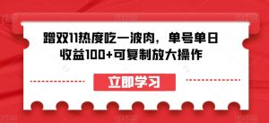 蹭双11热度吃一波肉,单号单日收益100+可复制放大操作【揭秘】-私藏资源社