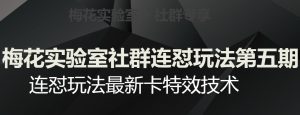 梅花实验室社群连怼玩法第五期,视频号连怼玩法最新卡特效技术-私藏资源社