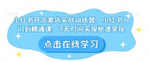 小红书开店卖货实战训练营,小红书入门到精通课,7天时间实现快速变现-私藏资源社