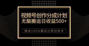 最新视频号创作分成计划,无脑搬运一天收益500+,100%搬运过原创技巧【揭秘】-私藏资源社