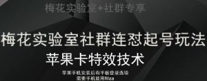 梅花实验室社群视频号连怼起号玩法,最新苹果卡特效技术-私藏资源社