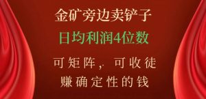 金矿旁边卖铲子,赚确定性的钱,可矩阵,可收徒,日均利润4位数【揭秘】-私藏资源社