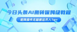 今日头条AI搬砖保姆级教程,矩阵操作无脑搬运月入1w+【揭秘】-私藏资源社