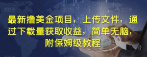 最新撸美金项目,上传文件,通过下载量获取收益,简单无脑,附保姆级教程【揭秘】-私藏资源社