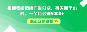 视频号搬运撸广告分成,每天两个小时,一个月多赚5000+-私藏资源社