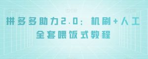 拼多多助力2.0：机刷+人工全套喂饭式教程【揭秘】-私藏资源社