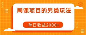 网课项目的另类玩法,单日收益2000+【揭秘】-私藏资源社