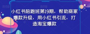 小红书陪跑班第19期,帮助商家爆款升级,用小红书引流,打造淘宝爆款-私藏资源社
