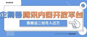 最新蓝海项目,企鹅号腾讯内容开放平台项目,靠搬运二创月入过万【揭秘】-私藏资源社