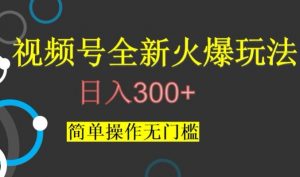 视频号最新爆火玩法,日入300+,简单操作无门槛【揭秘】-私藏资源社