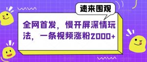 全网首发,慢开屏深情玩法,一条视频涨粉2000+【揭秘】-私藏资源社