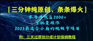 三分钟制作视频号纯原创,条条爆款,轻松月入过万【揭秘】-私藏资源社