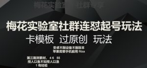 梅花实验室社群连怼起号玩法,卡模板过原创玩法【揭秘】-私藏资源社