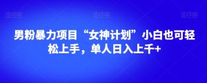 男粉暴力项目“女神计划”小白也可轻松上手,单人日入上千+【揭秘】-私藏资源社