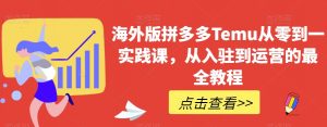 海外版拼多多Temu从零到一实践课,从入驻到运营的最全教程-私藏资源社