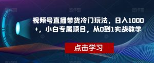 视频号直播带货冷门玩法,日入1000+,小白专属项目,从0到1实战教学【揭秘】-私藏资源社