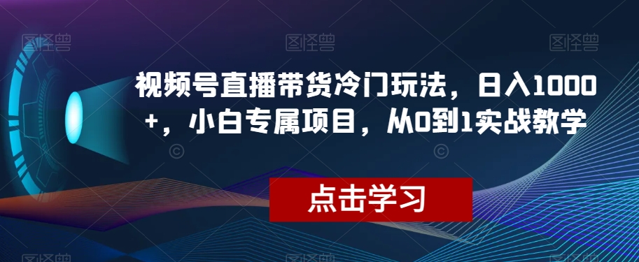 视频号直播带货冷门玩法，日入1000+，小白专属项目，从0到1实战教学【揭秘】-私藏资源社