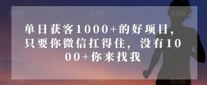 单日获客1000+的好项目,只要你微信扛得住,没有1000+你来找我【揭秘】-私藏资源社