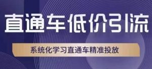 直通车低价引流课,系统化学习直通车精准投放-私藏资源社
