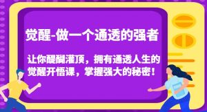 觉醒-做一个通透的强者，让你醍醐灌顶，拥有通透人生的觉醒开悟课，掌握强大的秘密！-私藏资源社