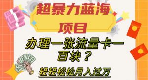 超暴力蓝海项目,办理一张流量卡一百块?轻轻松松月入过万,保姆级教程【揭秘】-私藏资源社