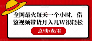 全网最火每天一个小时,借鉴视频带货月入几W很轻松【揭秘】-私藏资源社