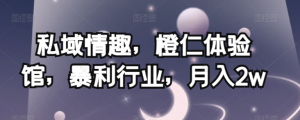私域情趣,橙仁体验馆,暴利行业,月入2w【揭秘】-私藏资源社