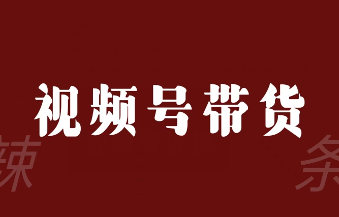 视频号带货联盟，赚信息差的带货钱，只需手机随时随地都可以做！-私藏资源社
