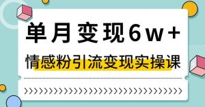 单月变现6W+,抖音情感粉引流变现实操课,小白可做,轻松上手,独家赛道【揭秘】-私藏资源社