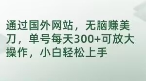 通过国外网站，无脑赚美刀，单号每天300+可放大操作，小白轻松上手【揭秘】-私藏资源社