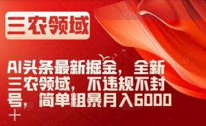 AI头条最新掘金,全新三农领域,不违规不封号,简单粗暴月入6000+【揭秘】-私藏资源社