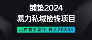暴力私域捡钱项目,小白无脑操作,日入2980【揭秘】-私藏资源社