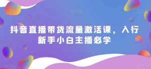 抖音直播带货流量激活课,入行新手小白主播必学-私藏资源社