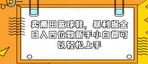卖莆田篮球鞋,暴利掘金日入四位数新手小白都可以轻松上手【揭秘】-私藏资源社