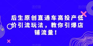 后生原创直通车高投产低价引流玩法,教你引爆店铺流量!-私藏资源社