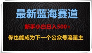 最新蓝海赛道,新手小白日入500+,你也能成为下一个公众号流量主【揭秘】-私藏资源社