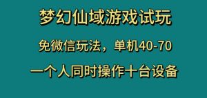 梦幻仙域游戏试玩,免微信玩法,单机40-70,一个人同时操作十台设备【揭秘】-私藏资源社