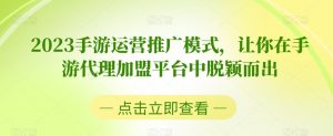 2023手游运营推广模式,让你在手游代理加盟平台中脱颖而出-私藏资源社