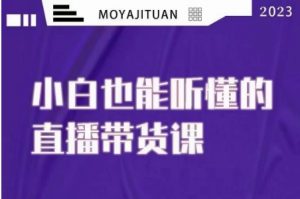 大威本威·能听懂的直播带货课,小白也能听懂,20节完整-私藏资源社