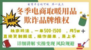 利用电商平台冬季销售取暖用品欺诈行为合理制裁店铺,单日入900+【仅揭秘】-私藏资源社