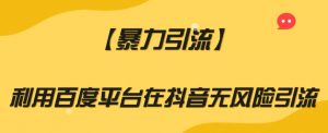 【暴力引流】利用百度平台在抖音无风险引流【揭秘】-私藏资源社