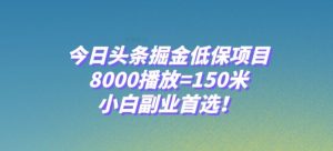 今日头条掘金低保项目,8000播放=150米,小白副业首选【揭秘】-私藏资源社