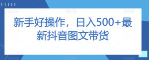 新手好操作,日入500+最新抖音图文带货【揭秘】-私藏资源社