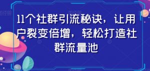 11个社群引流秘诀,让用户裂变倍增,轻松打造社群流量池-私藏资源社